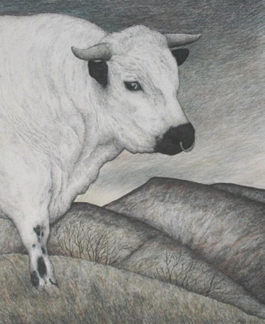 ‘Chartley Park Bull’, a crayon, pen and ink drawing by Seren Bell on view at the Fosse Gallery in Stowe on the Wold, Gloucestershire from June 8 to 28. Image courtesy of The Fosse Gallery. 